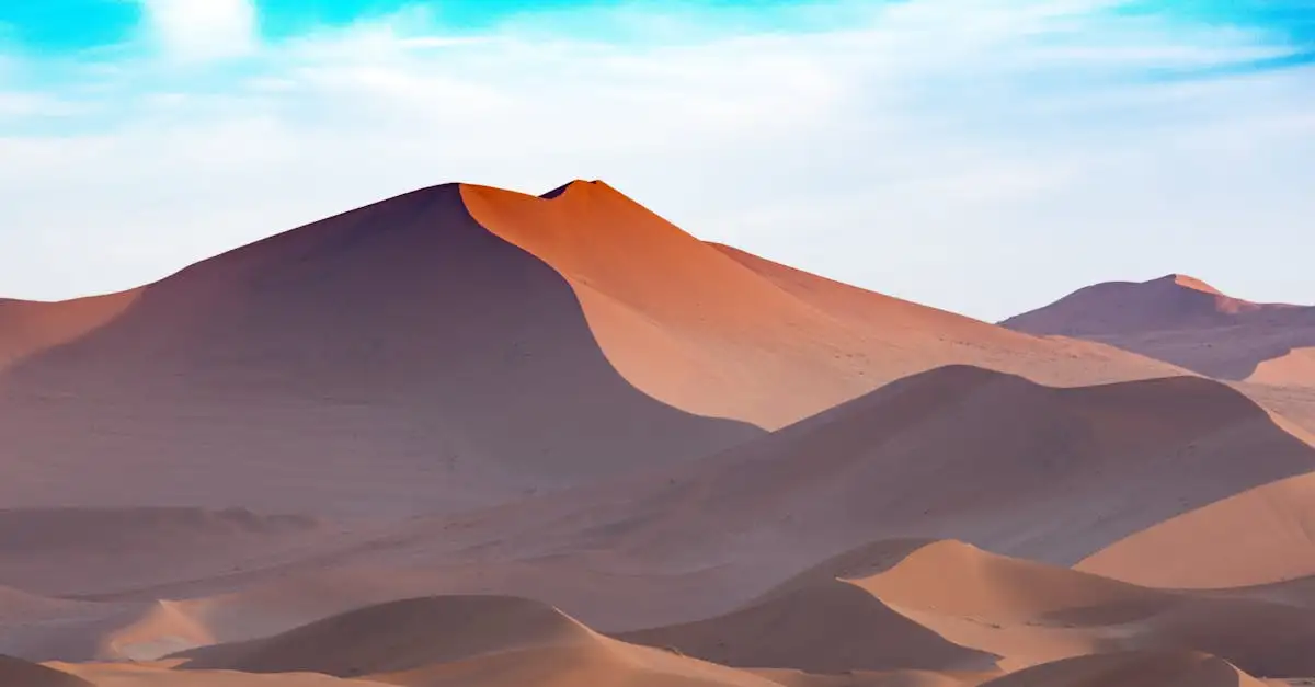 ¿Dónde están las impresionantes dunas del desierto de Namib?