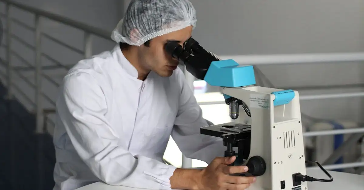 ¿Para qué sirven las anillas de aves en la investigación?