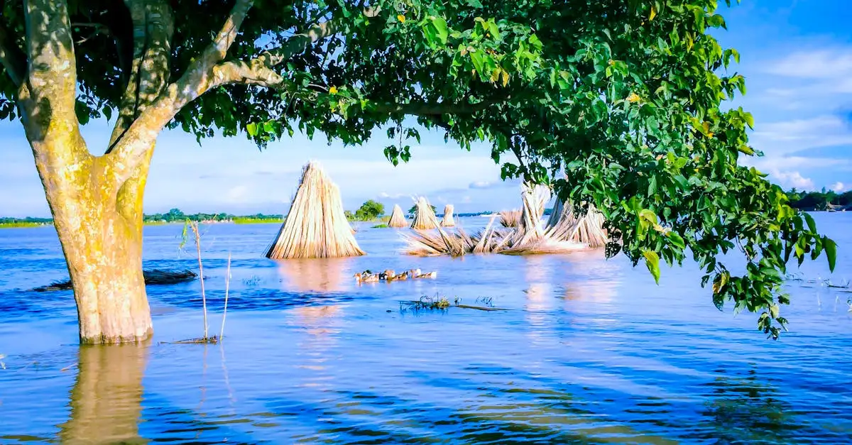 ¿Por qué las inundaciones de Bangladesh en 2022 fueron tan graves?