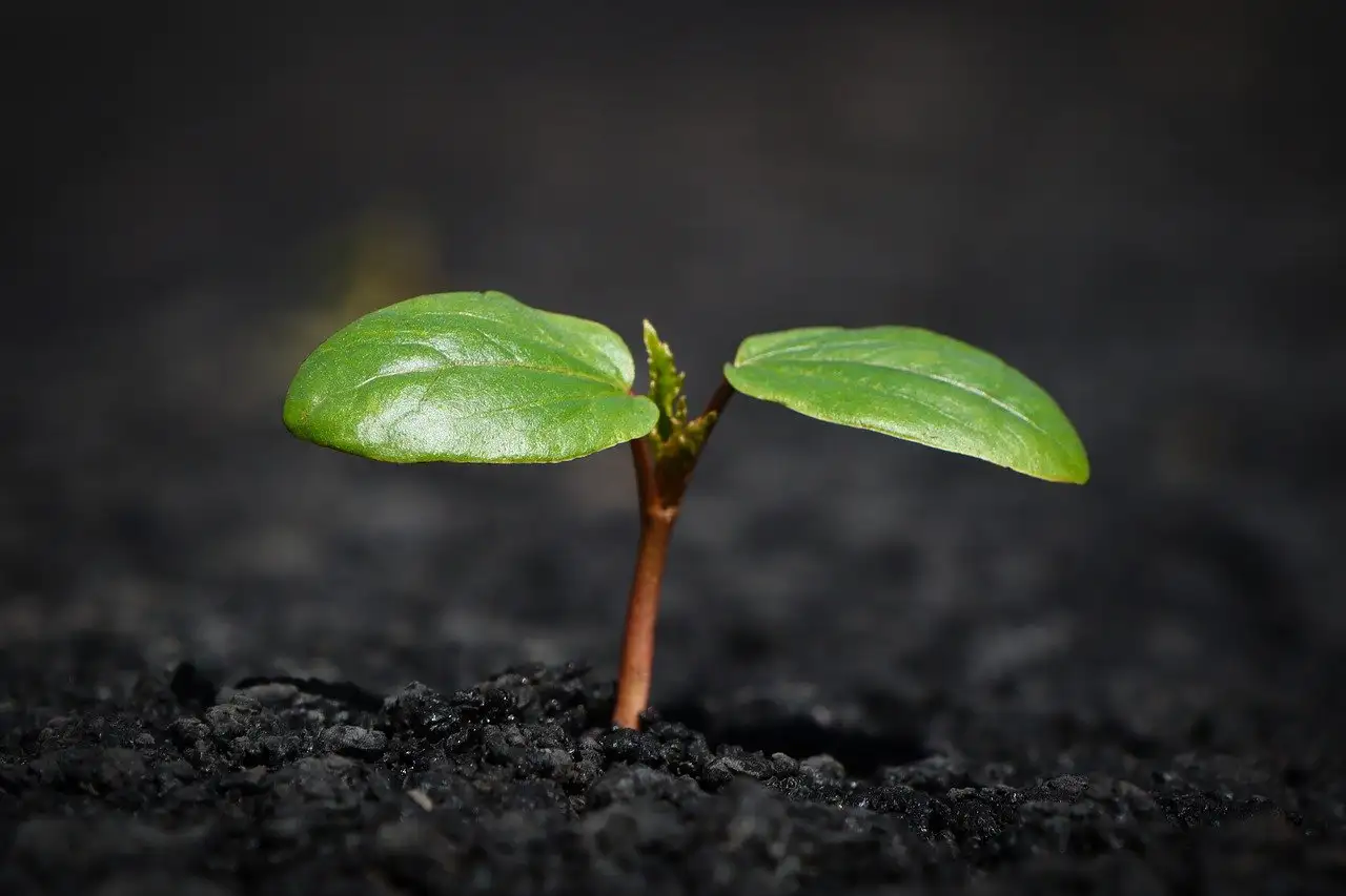 ¿Quién es la diosa de la tierra y madre de la naturaleza?
