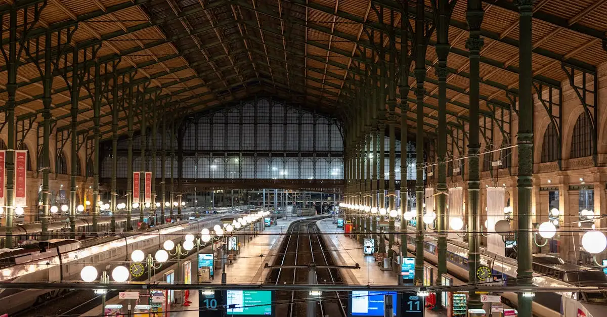 ¿Cómo afecta la privatización a los ferrocarriles?