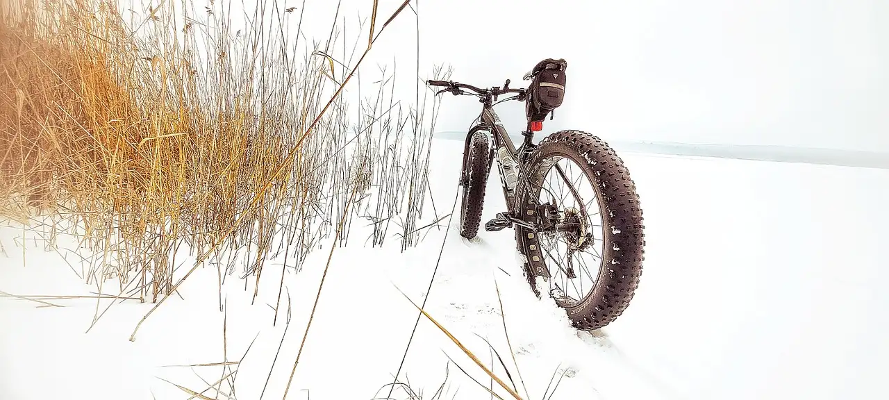 ¿Cómo funciona una fatbike y qué la hace especial?