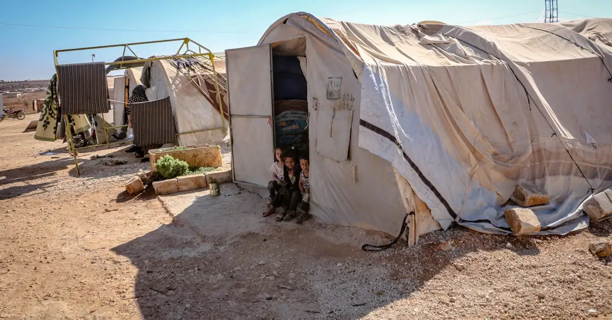 ¿Cómo la guerra impulsó la creación de la ONU?