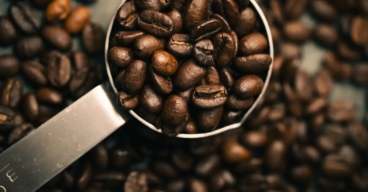 ¿Cómo se llama el poso de café y otros términos?