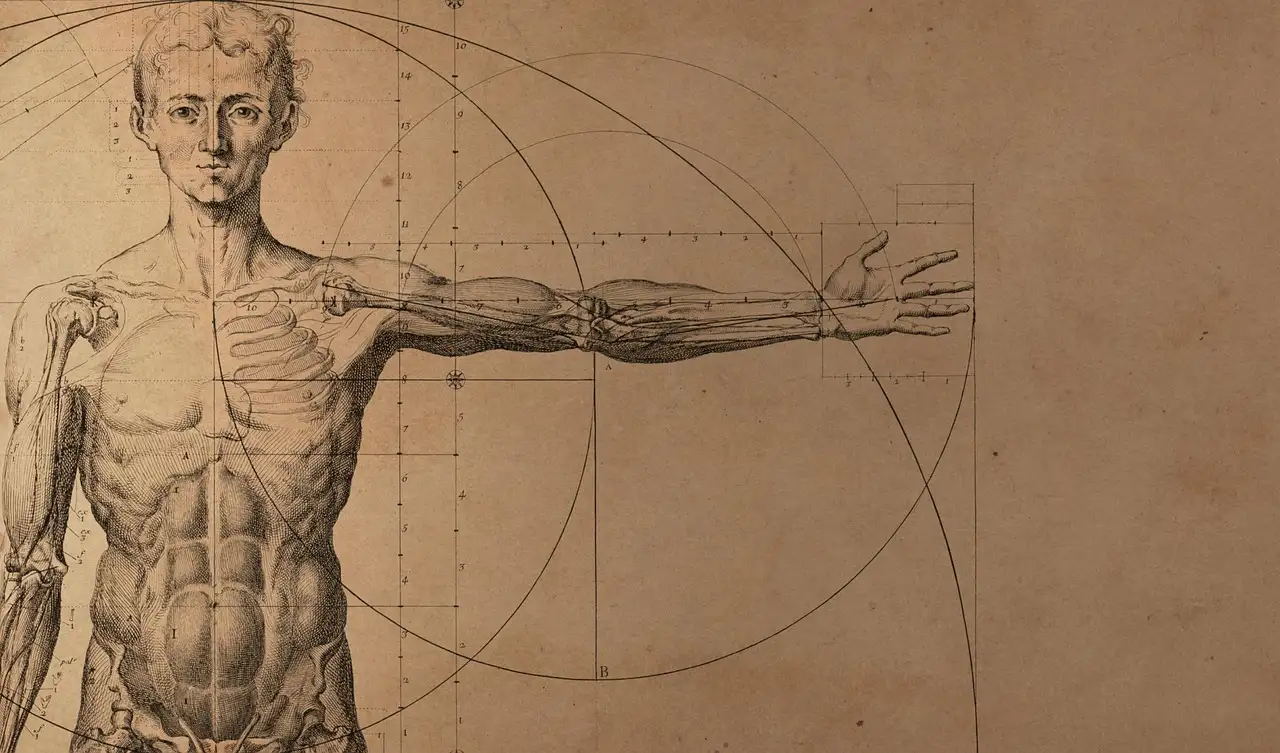 ¿Cómo transformaron los estudios de Vesalio la medicina?