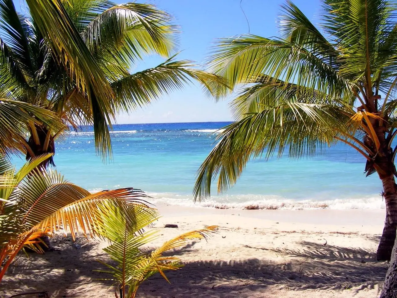 ¿Cuál es la capital de Dominica y qué la hace especial?