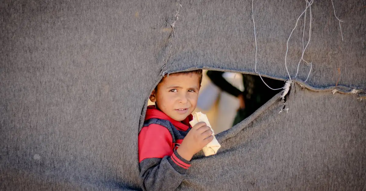 ¿Cuál fue el papel de la Cruz Roja durante la guerra?