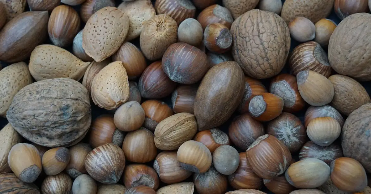 ¿Cuántas almendras al día son beneficiosas para la salud?