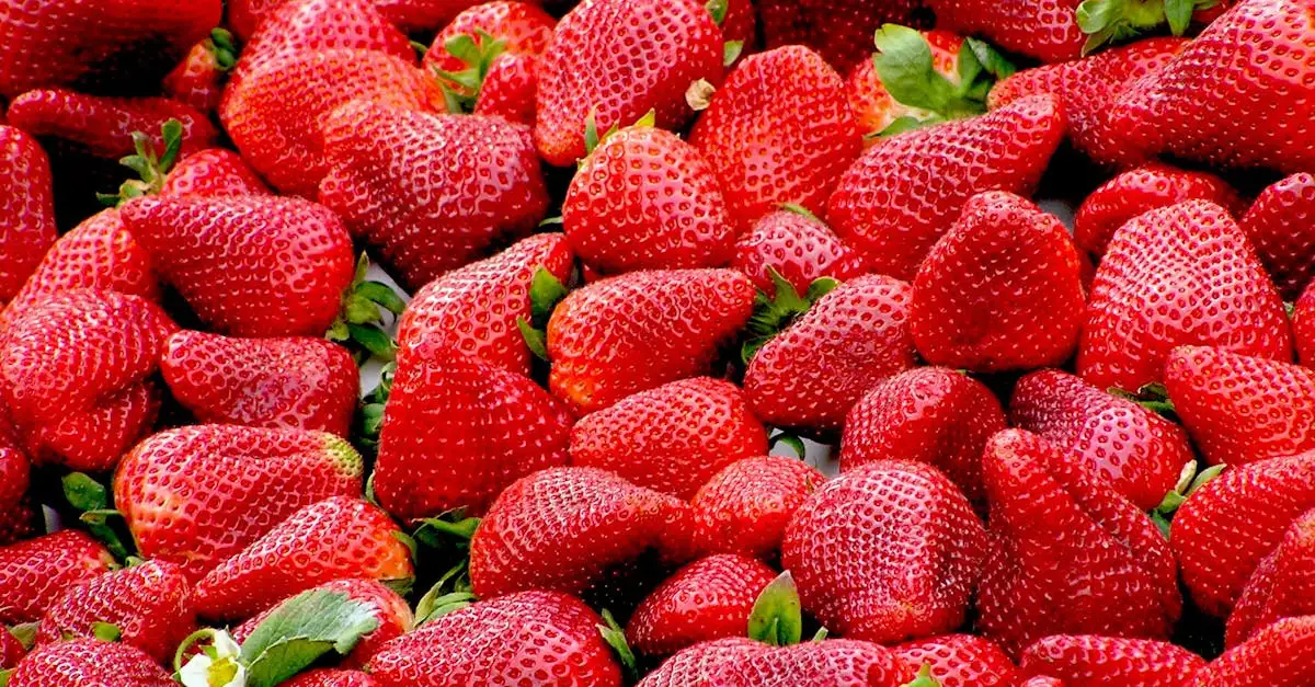 ¿Dónde está la mayor cantidad de vitamina C en los alimentos?