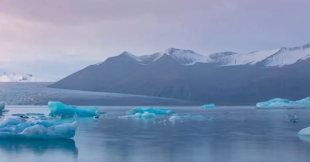 ¿Dónde ver glaciares en el Parque Nacional del Noreste de Groenlandia?