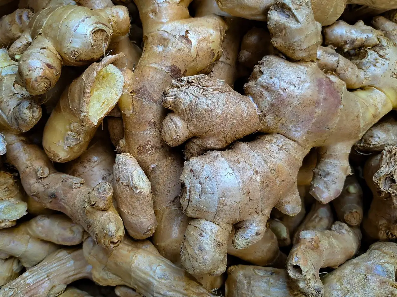 ¿El té de jengibre es efectivo para combatir el resfriado?
