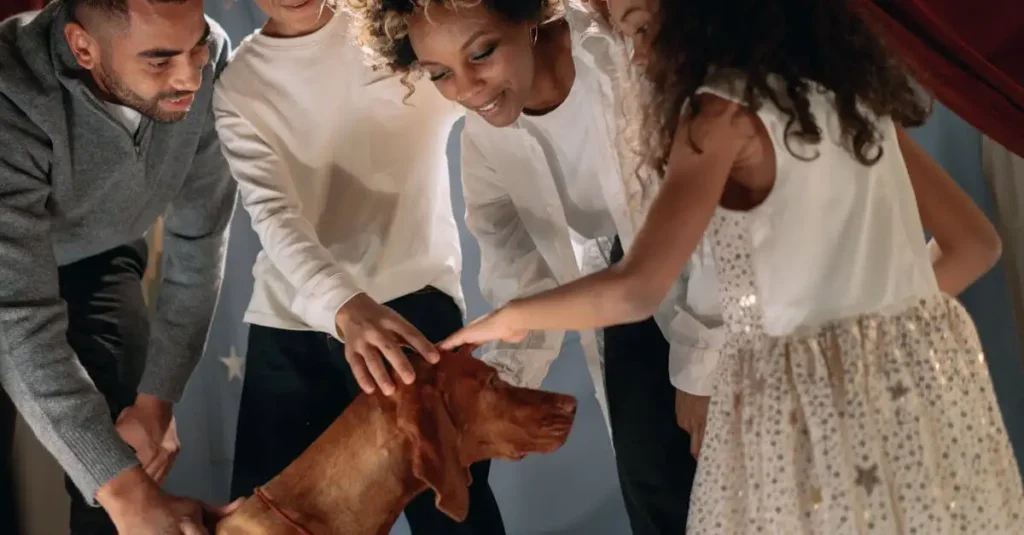 ¿Los perros pueden reconocer nuestras emociones realmente?