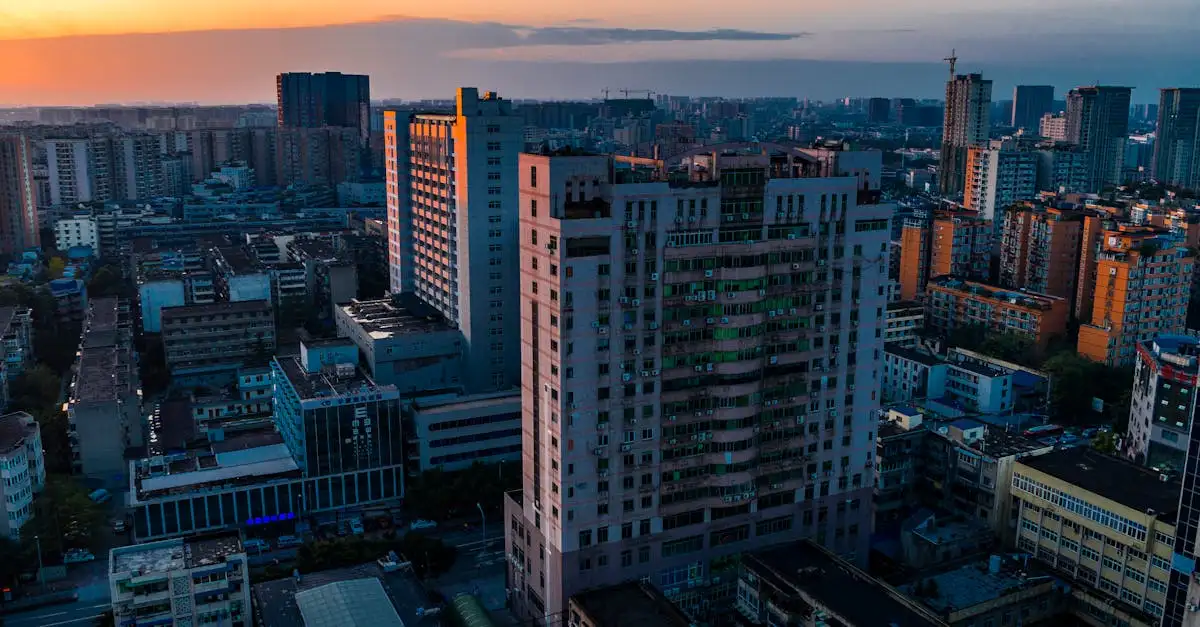 ¿Por qué Chengdu es la mejor ciudad para ver pandas?