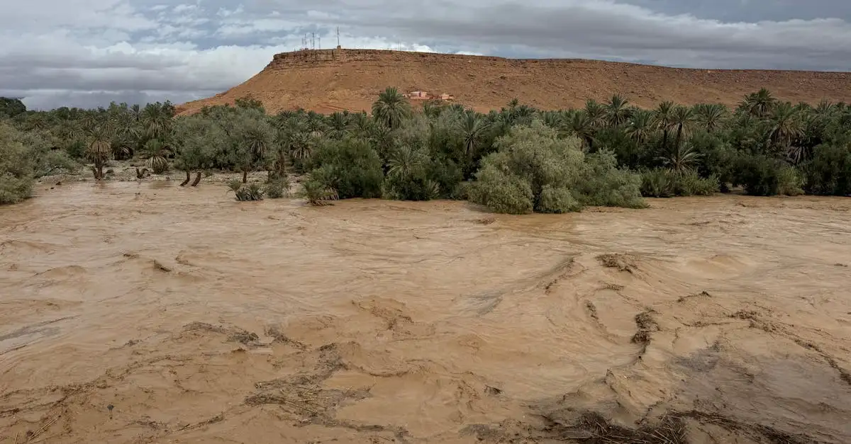 ¿Por qué el ciclón Idai de 2019 devastó a África?