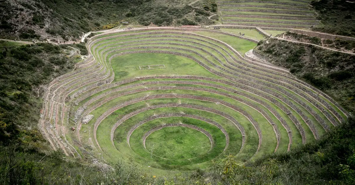¿Qué eran los ayllus en la sociedad inca y su función?