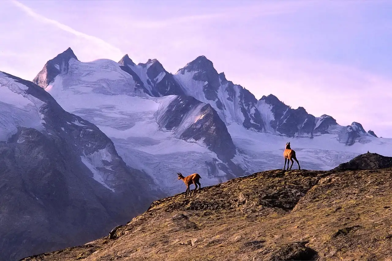 ¿Qué es el Parque Nacional Gran Paradiso en Italia?