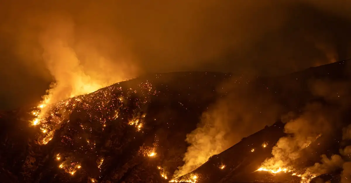 ¿Qué provocó los incendios forestales en California 2018?