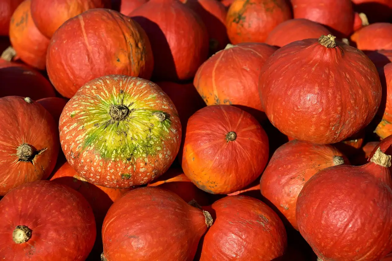 ¿Cuánto tiempo debes cocinar la calabaza correctamente?
