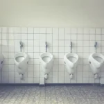 ¿Cuántos Skibidi Toilet Sigmas hay en la vida real?