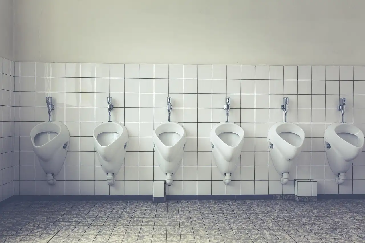 ¿Cuántos Skibidi Toilet Sigmas hay en la vida real?