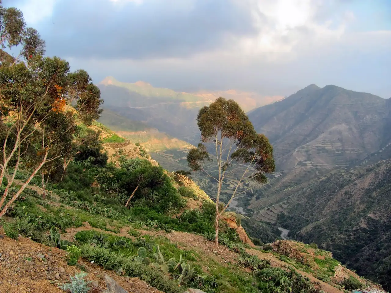 ¿Qué significa 'Entay eyu abe Eritrea baelu hasab amxina'?