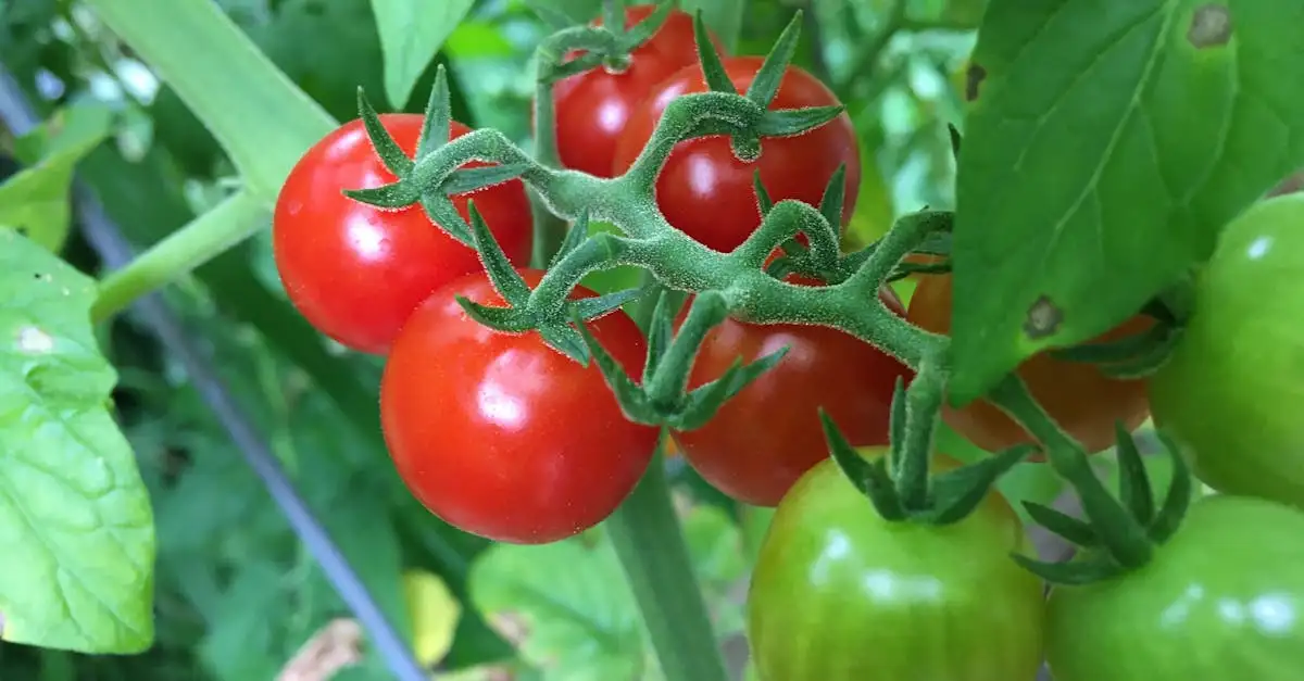 ¿Qué verduras son ideales para acompañar el hígado de ternera?