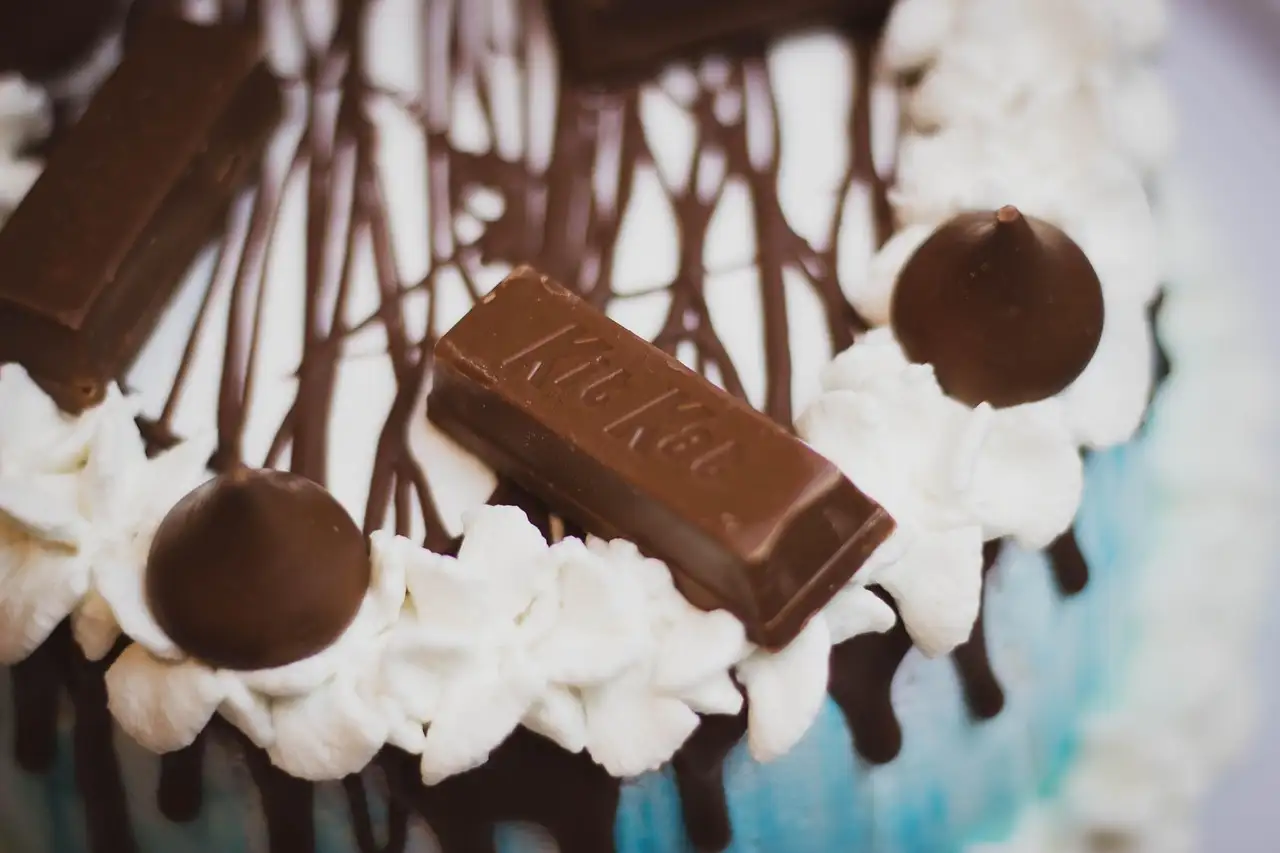 ¿Realmente piensas que soy un gato?