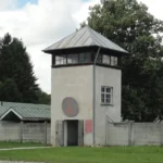 ¿Cómo Adolf Hitler llegó al poder en Alemania?