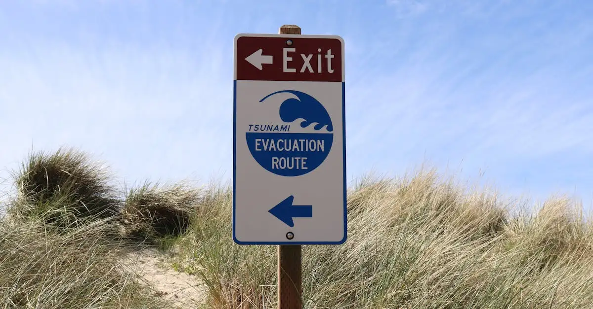 ¿Cómo identificar un tsunami de forma segura y a tiempo?