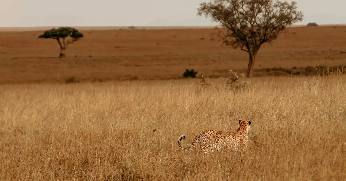¿Cuál es el parque nacional más grande de África?