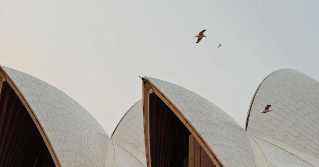 ¿Cuál es la ciudad cultural de Australia? Descúbrelo aquí.