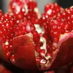 ¿Cuáles son los beneficios del resveratrol para la salud?