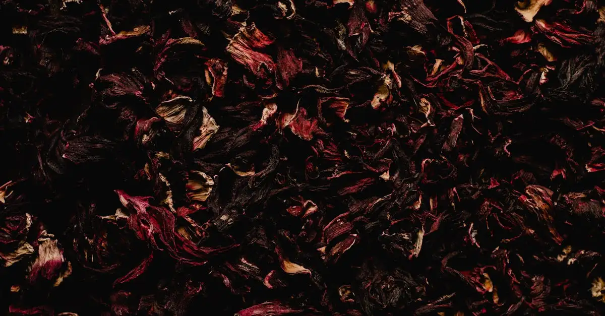 ¿Para qué sirve el hibisco? Beneficios y usos esenciales.