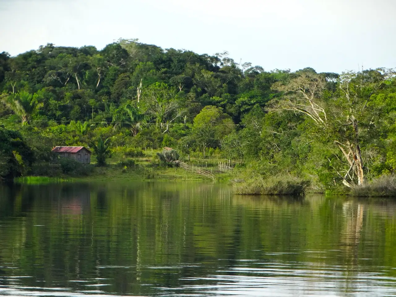 ¿Qué países recorre el majestuoso río Amazonas?