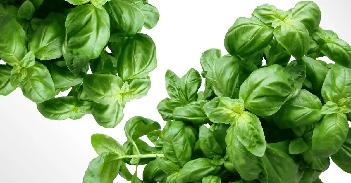 ¿Qué verduras combinan mejor con pasta pesto?