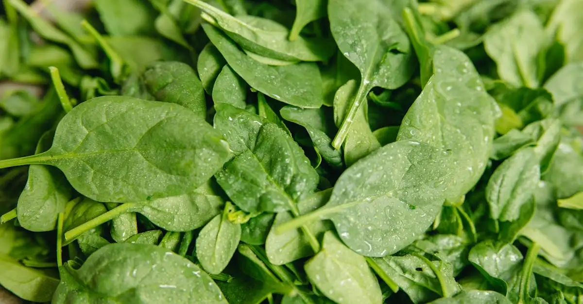 ¿Vitamina K: cuáles son sus beneficios y para qué sirve?