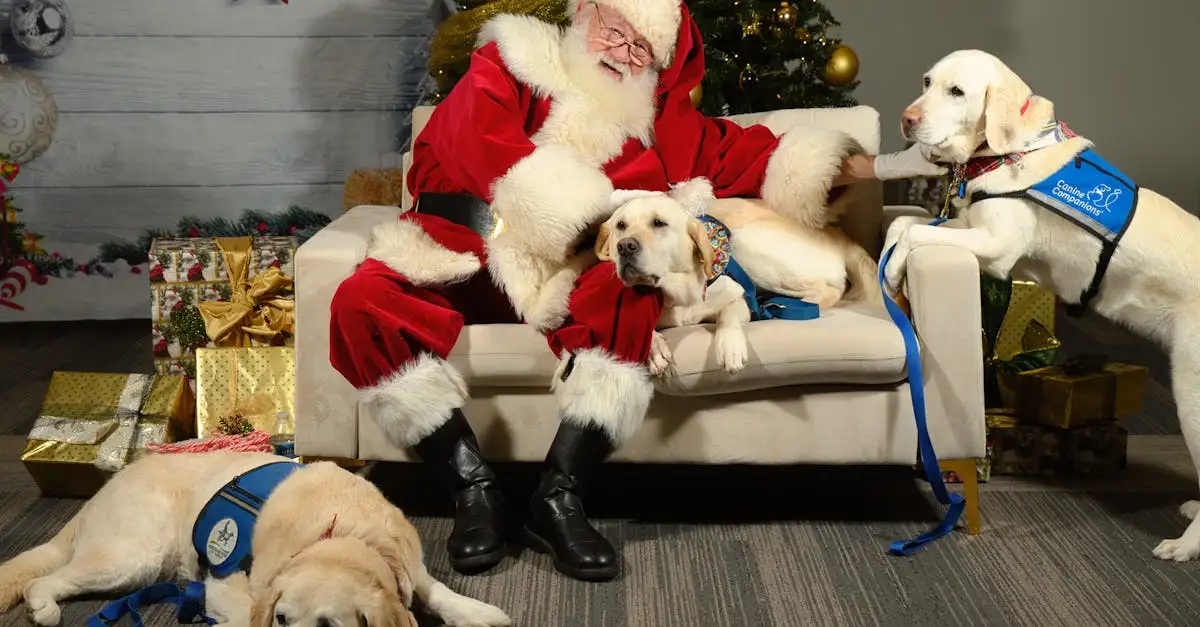 ¿Cuáles son las mejores razas de perros de ayuda?