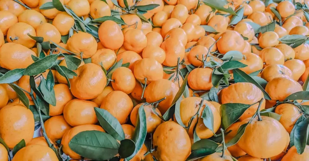 ¿Para qué sirve la vitamina B5 y cuáles son sus beneficios?