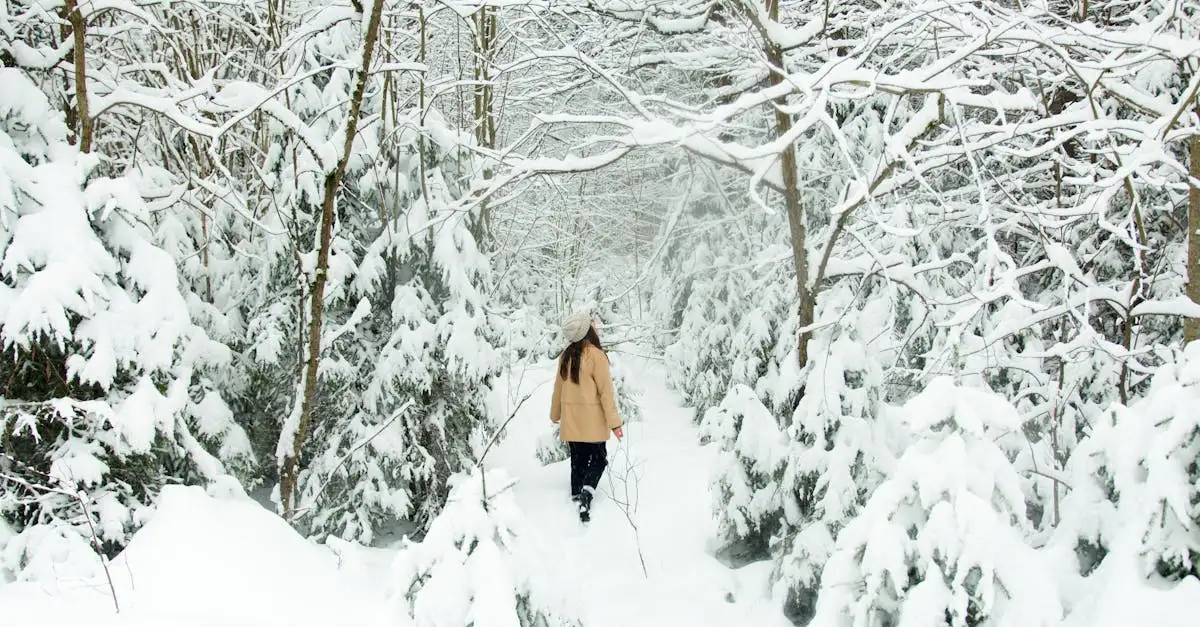 ¿Qué abrigo elegir según la temperatura? ¡Descúbrelo aquí!