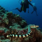 ¿Quién es Ananta, el dios de las serpientes y el océano?